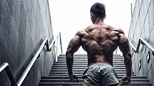 Truflexen Muscle Builder - för muskelmassa - Amazon - recensioner - resultat